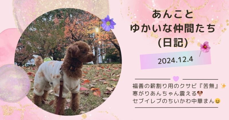 福善の薪割り用のクサビ『苦無』✨寒がりあんちゃん震える🐶セブイレブのちいかわ中華まん😆 | なこのぼちいこ。